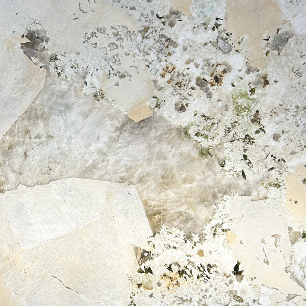 天使之星－金莎橙月