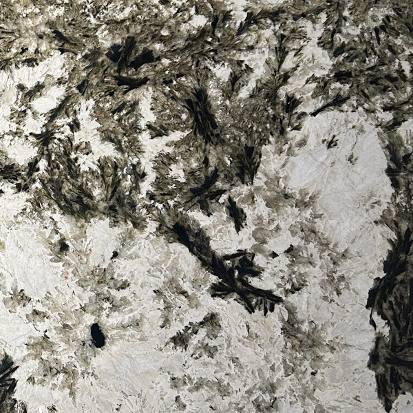 天使之星-金枝玉葉